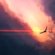 Illustration for article titled TAY: Open Forum